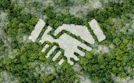 اقتصاد سبز شهری در گروی ترویج کسب‌وکارهای پایدار