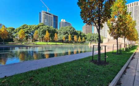 توسعه شهرهای سبزتر با کمک هوش مصنوعی