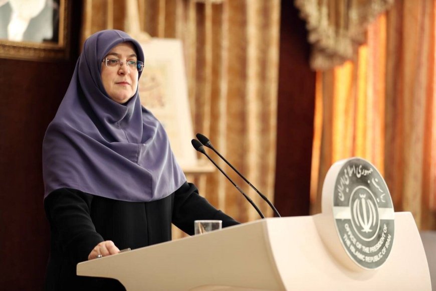 سخنگوی دولت مشکلات GPS را تایید کرد: نرمافزارهای داخلی اختلال کمتری دارند