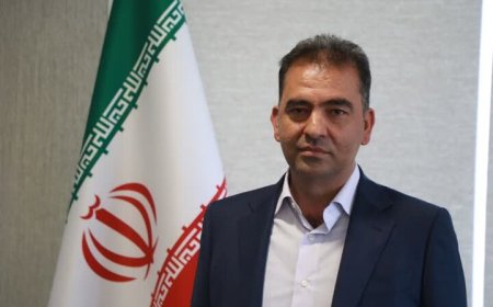 حسابرسی تحول‌گرا با محوریت مدیریت ریسک در شهرداری شیراز