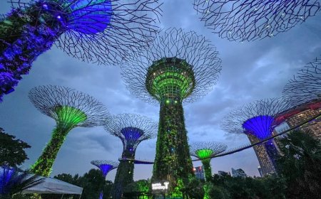 تحول سبز شهرها با رویکرد جامعه‌محور طبیعت