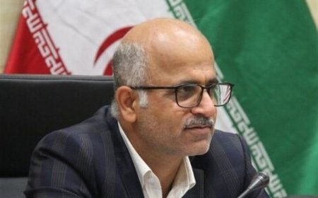 ۴۵ مورد ملک مازاد دولتی در بوشهر شناسایی شد