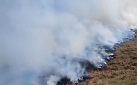 ارتفاعات دراک شیراز همچنان می‌سوزد