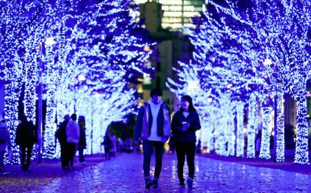 چرا توکیو پایتخت روشنایی‌های شهری جهان است؟