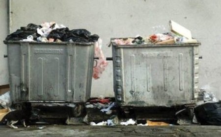 جوی شهری که در آن موش و بطری روان است