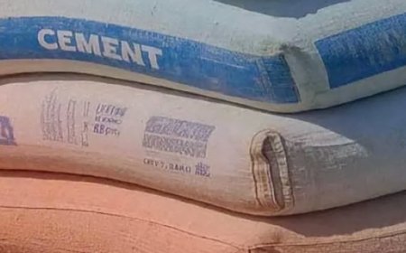 قیمت سیمان عمده امروز ۲۰ مرداد ۱۴۰۴ / بازار به تعطیلات تابستانی رفت