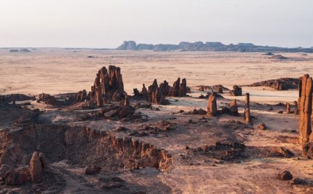 روز چاد و دانستنی‌های جالب این کشور