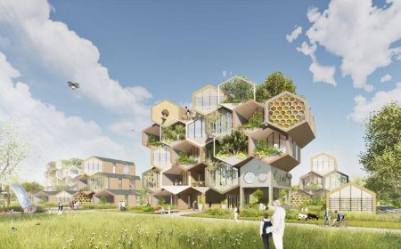 نیویورک، بهشت زنبورداران شهری