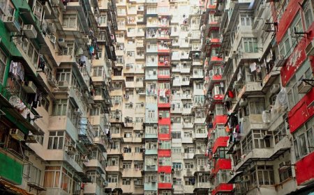 وقتی روانِ ما با تراکم شهری سرِ ناسازگاری دارد