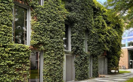 آمستردام و آینده پایدار: تحلیل پروژههای معماری سبز