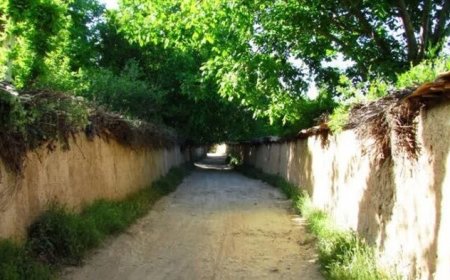 اجرای آبیاری اضطراری و تجهیز شبکه آبرسانی برای احیای باغهای قصردشت شیراز