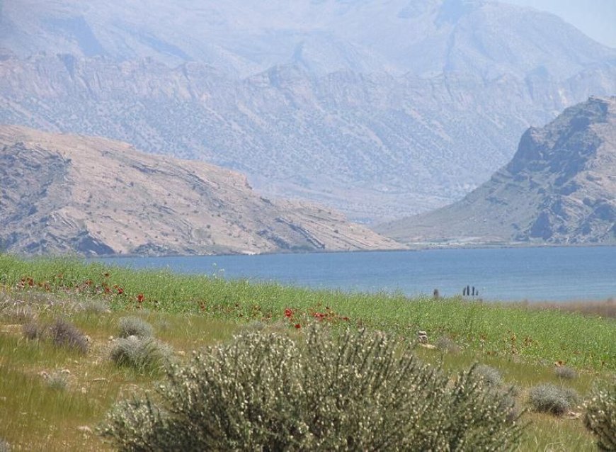 سند مالکیت تکبرگ برای تالاب پریشان