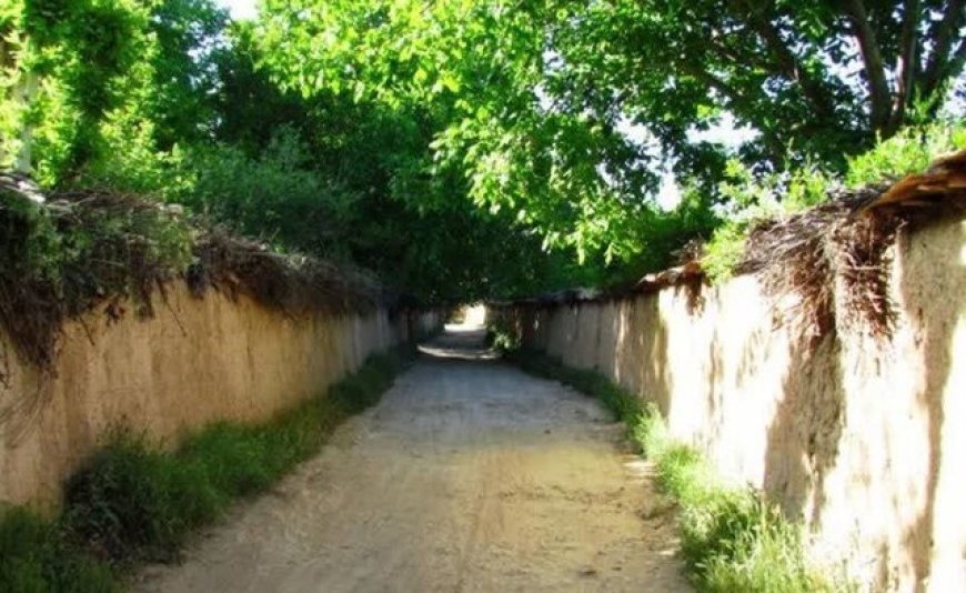 اجرای آبیاری اضطراری و تجهیز شبکه آبرسانی برای احیای باغ‌های قصردشت شیراز