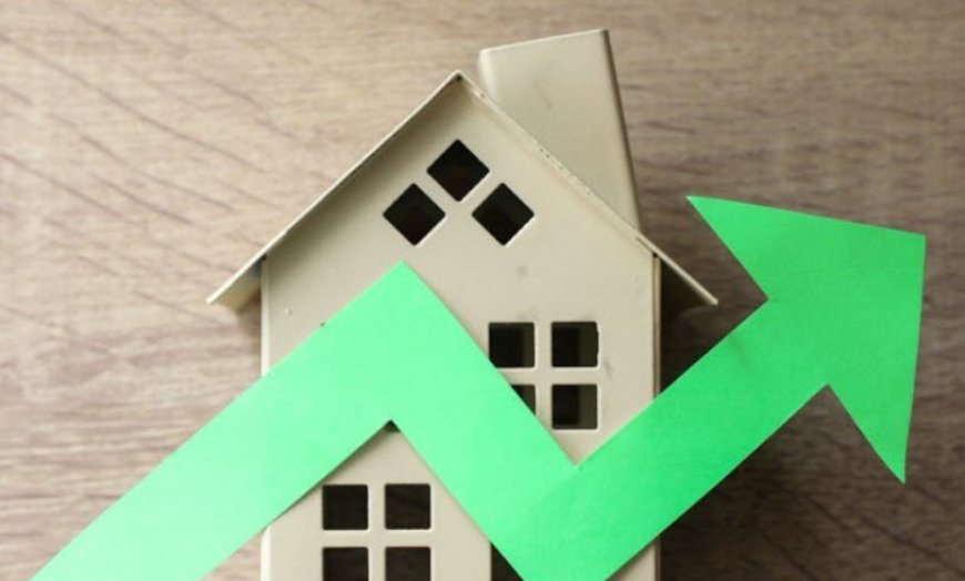 تورم اجاره مسکن به کف رسید