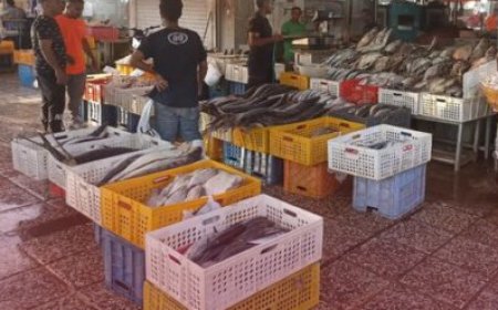 انتقال اصناف دروازه کازرون قطعی است/ سه بخش اصلی طرح در حال اجرا