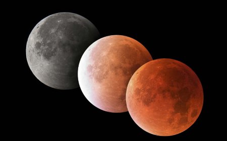 فقط چند ساعت تا ماهگرفتگی ۱۶ شهریور؛ چگونه و کجا آن را ببینیم؟