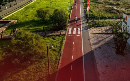 تلنگر رفتاری چگونه شهرها را به سمت حملونقل سبز هدایت میکند؟