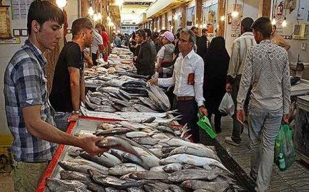 شیراز صاحب چند بازارچه تخصصی ماهی‌فروشان می‌شود