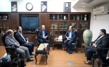 بررسی مشکلات ترهین و اجرایی پروژه‌های نهضت ملی مسکن در شهر جدید گلبهار