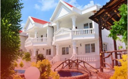 قیمت اجاره روزانه ویلا و اقامتگاه در شمال