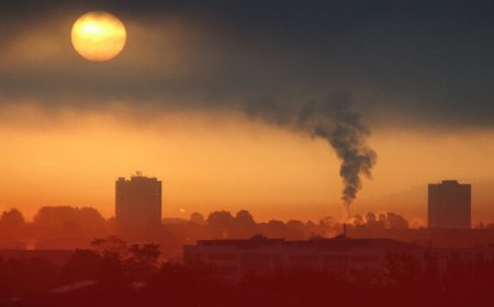 کلانشهرهای جهان در مسیر مقابله با آلودگی هوا با راهکارهای تصفیهای