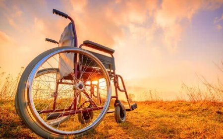 شهری که الگوی جهانی توانمندسازی معلولان شد