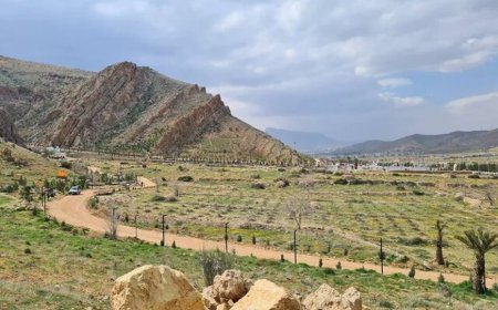 دسترسی جدید به بام سبز شیراز از چمران و منصورآباد