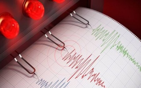 استانهای کرمان و فارس بیشترین لرزشها را تجربه کردند
