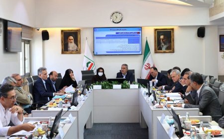 تشریح راهبردهای اصلی سازمان ملی زمین و مسکن