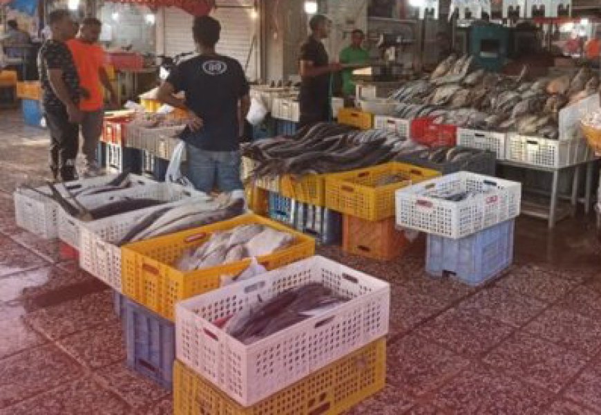 انتقال اصناف دروازه کازرون قطعی است/ سه بخش اصلی طرح در حال اجرا