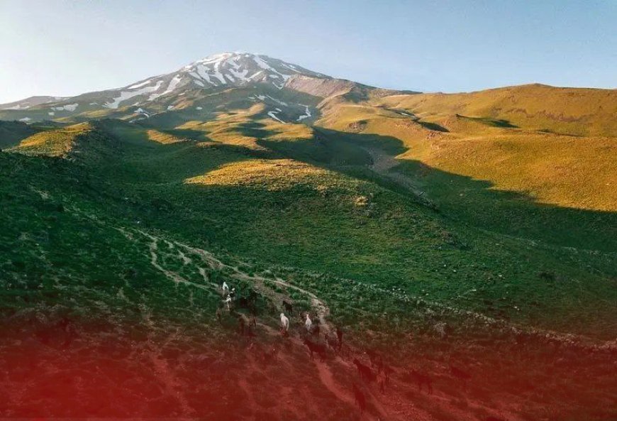 واگذاری قسطی ۱۵ هکتار اراضی ملی شمیرانات به قیمت ۱۵ میلیون تومان