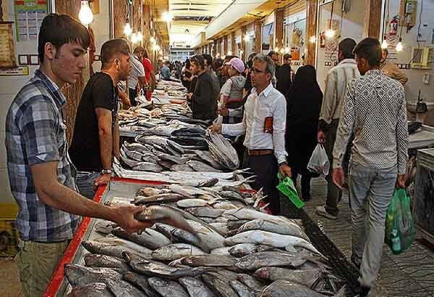 شیراز صاحب چند بازارچه تخصصی ماهی‌فروشان می‌شود