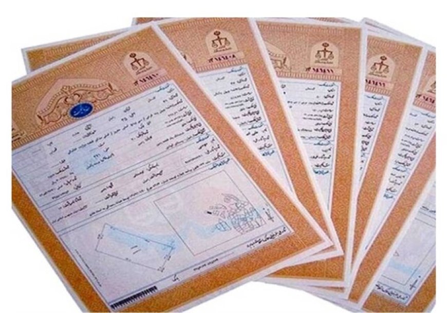 صدور سند تک برگ برای ۱۳ هزار هکتار از اراضی منابع ملی فسا