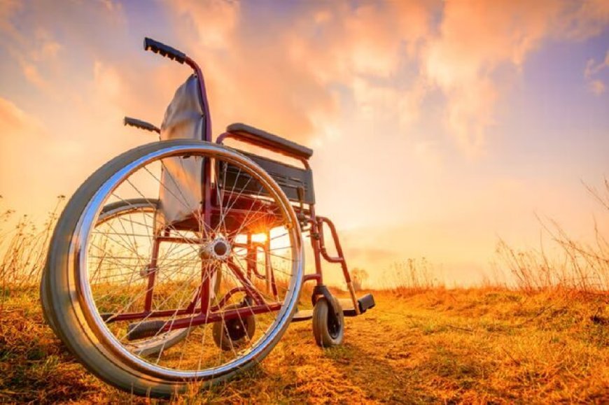 شهری که الگوی جهانی توانمندسازی معلولان شد