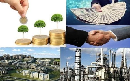 صدور مجوز سرمایه گذاری ۴۲ میلیون دلاری در فارس