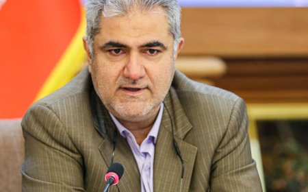 مدیرعامل سازمان ملی زمین و مسکن از اراضی در حال آمادهسازی سایتهای مسکن استان بوشهر بازدید کرد