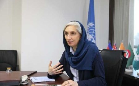 توسعه تابآوری شهری در بحرانهای اقلیمی و زیستمحیطی: چشمانداز جدید برای آسیا و اقیانوسیه