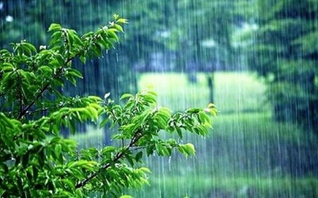 پربارشترین کشورهای جهان در سال ۲۰۲۵