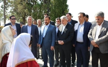 وزیر میراث فرهنگی وارد شیراز شد