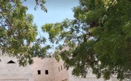 تراژدي فرهنگي ۱۷ ساله بندرعباس کتابخانه اي که ساخته نشده ، پير شد