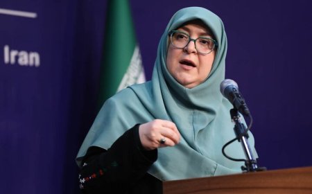 برنامه احیای زایندهرود پس از تصویب در شورای عالی آب اعلام میشود