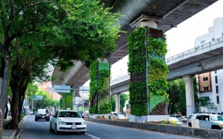 انقلاب کشاورزی عمودی در دل شهرهای بتنی