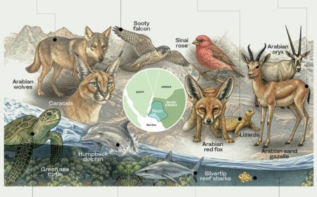 شهر هوشمند عربستانی پیشتاز احیای تنوع زیستی