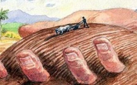 زمین خوارها به گل نشستند