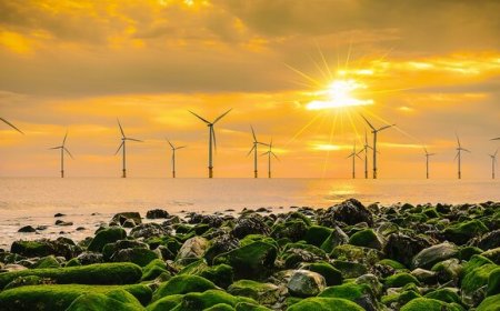 نبض شهرهای آینده در دست انرژی باد