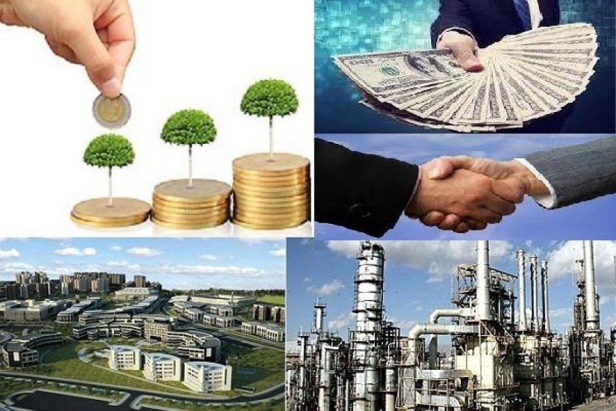 صدور مجوز سرمایه گذاری ۴۲ میلیون دلاری در فارس