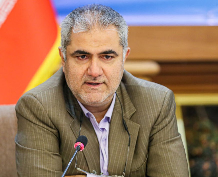 مدیرعامل سازمان ملی زمین و مسکن از اراضی در حال آماده‌سازی سایت‌های مسکن استان بوشهر بازدید کرد