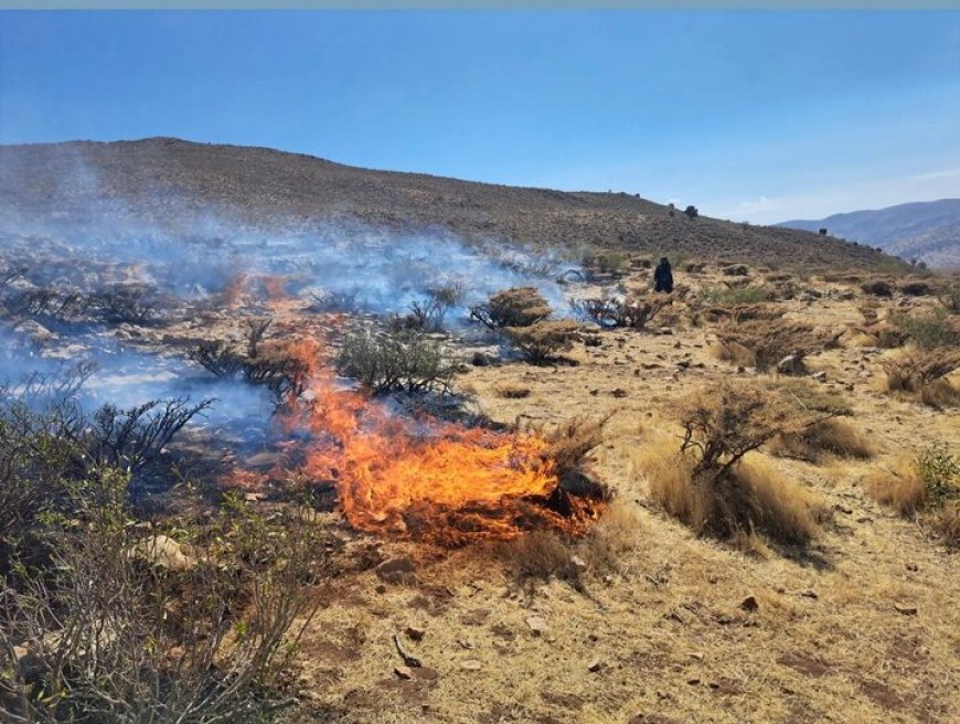 آخرین خبرها از آتش‌سوزی گسترده در شیراز