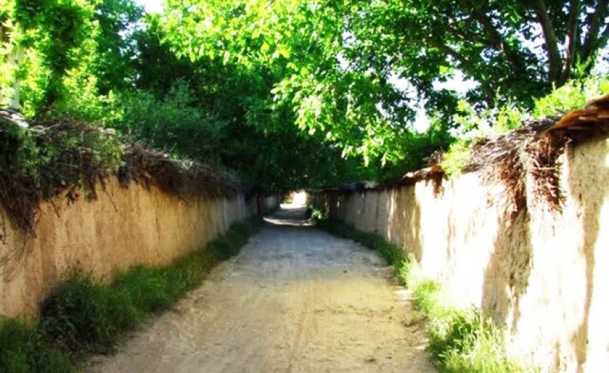 شهردار: هیچ‌گونه ساخت‌وساز در باغات شیراز مجاز نیست