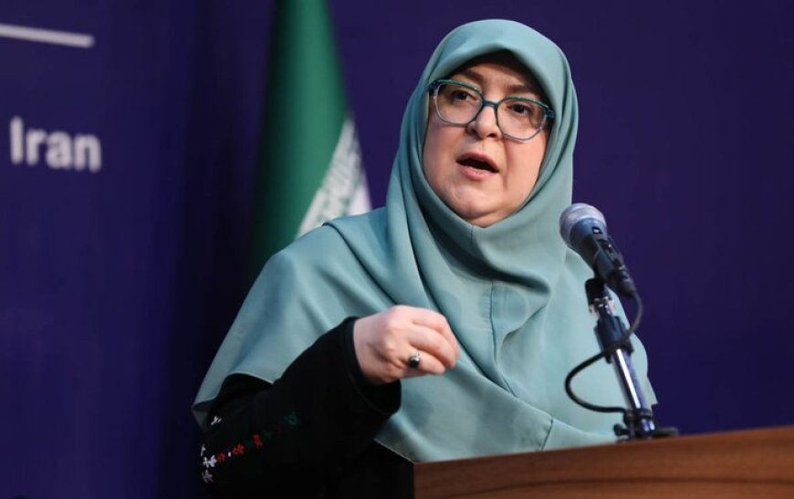 برنامه احیای زایندهرود پس از تصویب در شورای عالی آب اعلام میشود